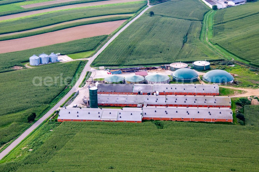 Aerial image Wintzenbach - Stables for Poultry farming with Biogas plants at Farm on the edge of cultivated fields in Wintzenbach in Grand Est, France