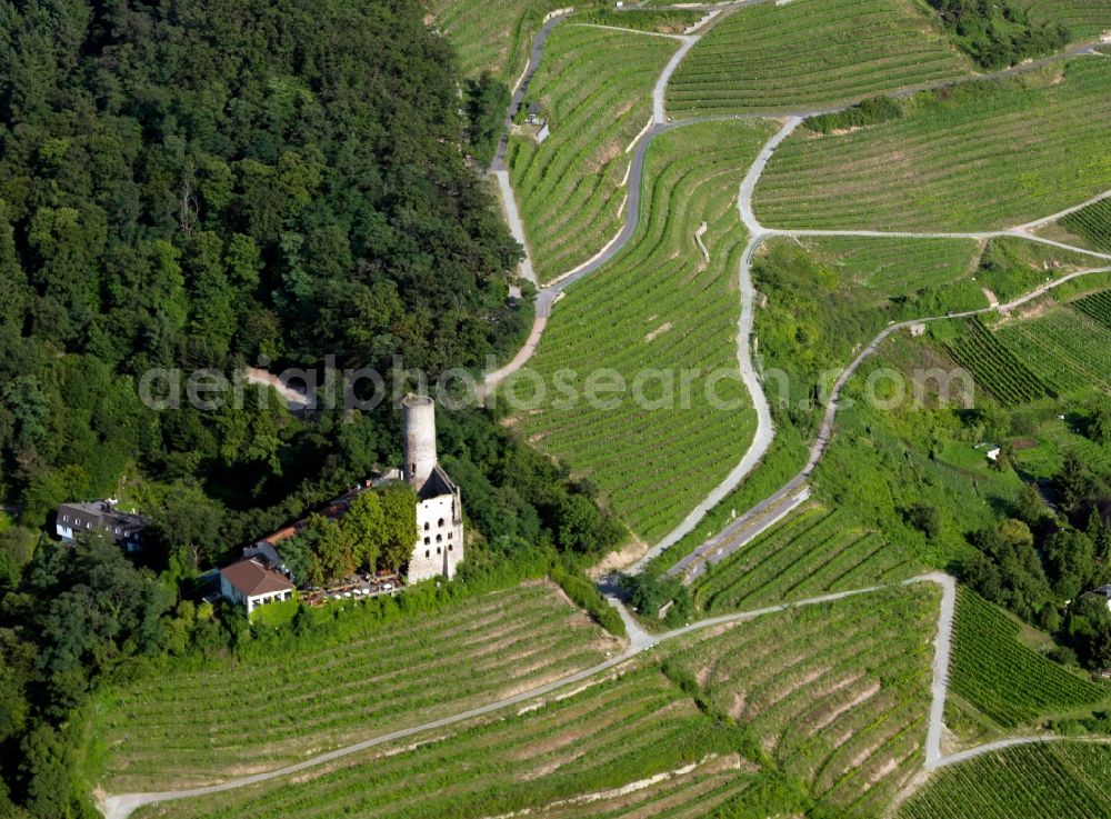 Schriesheim from the bird's eye view: Castle Strahlenburg in Schriesheim in the state of Baden-Wuerttemberg. The castle consists of ruins of a former high fortress and is Wolfgang Gerberely owned. The ruins include a restaurant today and are located on the foothills of Oelberg (Oil mountain) which is also called Castle Hill of Schriesheim. Walls and parts of the castle keep are still in place