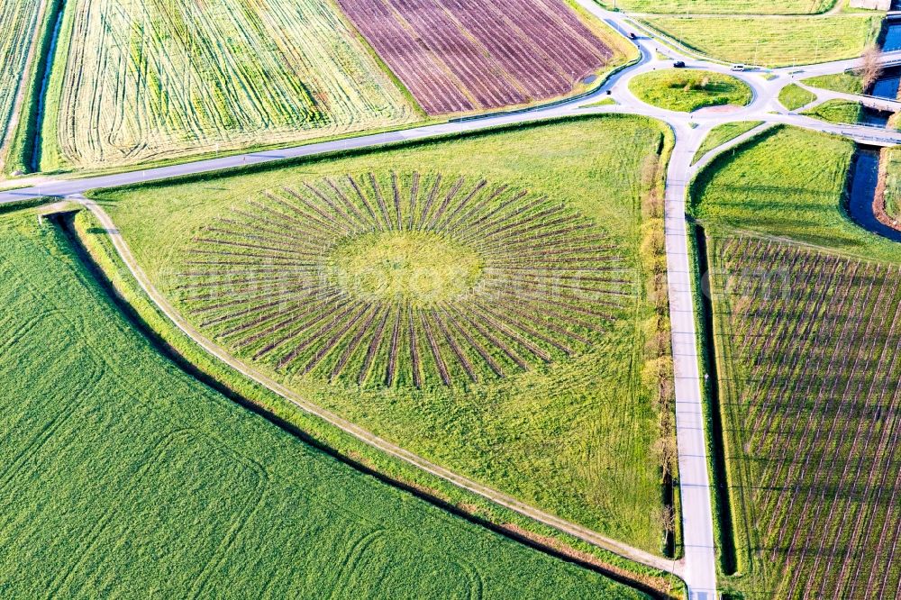 Aerial photograph Località Bolzano, Morsano Al Tagliamento - Radial planted rows of fruit cultivation plantation in a round field in Localita Bolzano, Morsano Al Tagliamento in Friuli-Venezia Giulia, Italy