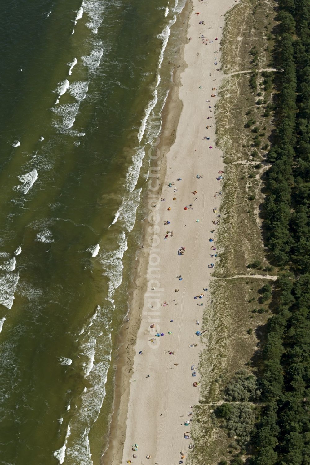 Zinnowitz from the bird's eye view: Beach section of the popular holiday and tourism, on the Baltic coast of the island of Usedom in Zinnowitz in Mecklenburg-Western Pomerania