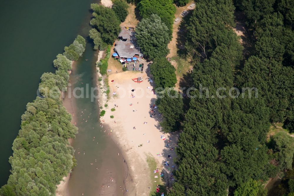 Aerial image Wiesbaden - Beach at the campsite on the riverside of the Rhine Rettbergsaue in Wiesbaden in Hesse