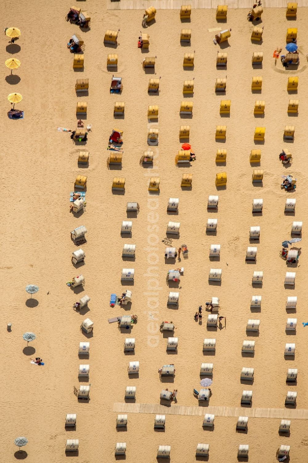 Lübeck from above - Beach chair on the sandy beach ranks in the coastal area of baltic sea near Travemuende in Luebeck in the state Schleswig-Holstein