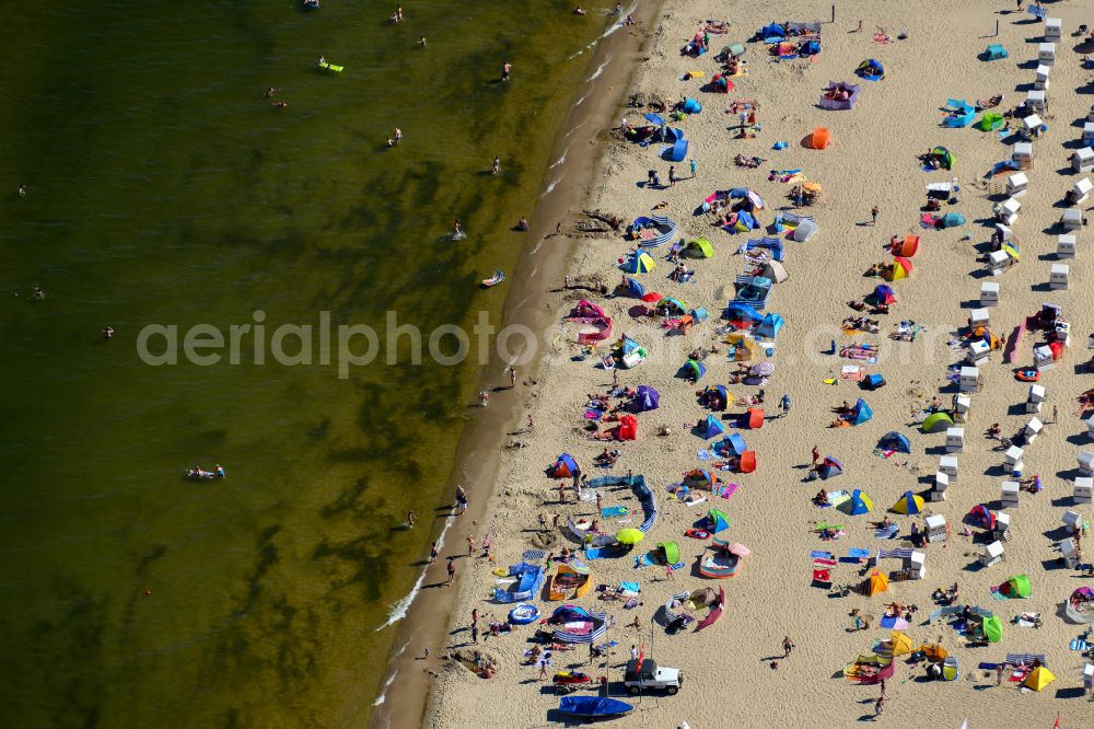Aerial image Zinnowitz - Beach chair on the sandy beach ranks in the coastal area the Baltic Sea in Zinnowitz in the state Mecklenburg - Western Pomerania