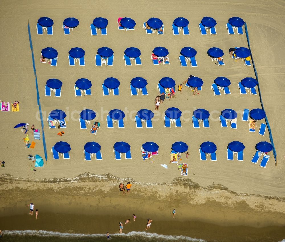 Aerial image Canet-en-Roussillon - Beach lying places and umbrella on the sandy beach landscape of Canet-en-Roussillon on the Mediterranean coast in France. Use not permitted in personal rights affecting Zoom cutouts!