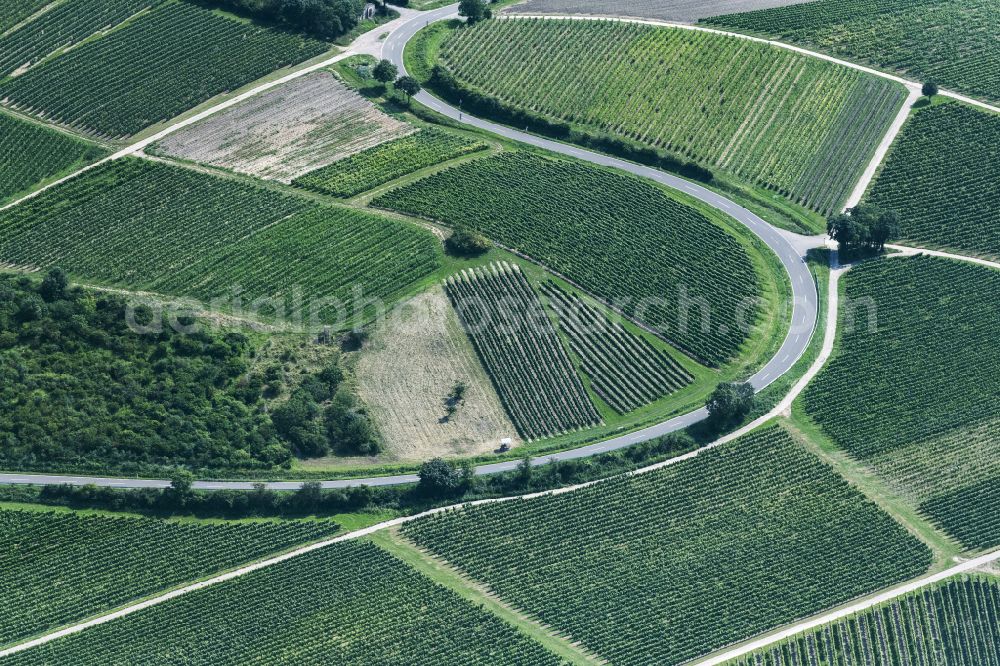 Bermersheim vor der Höhe from the bird's eye view: Street - road guidance in Bermersheim vor der Hoehe in the state Rhineland-Palatinate, Germany