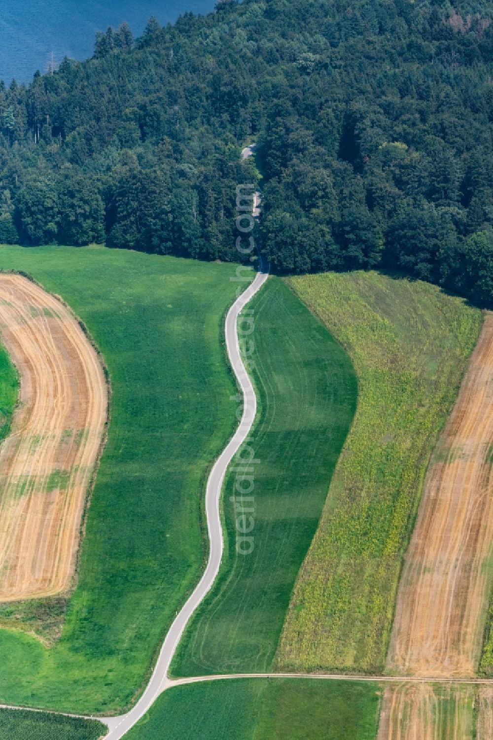 Aerial photograph Fronreute - Street - road guidance in Fronreute in the state Baden-Wurttemberg, Germany