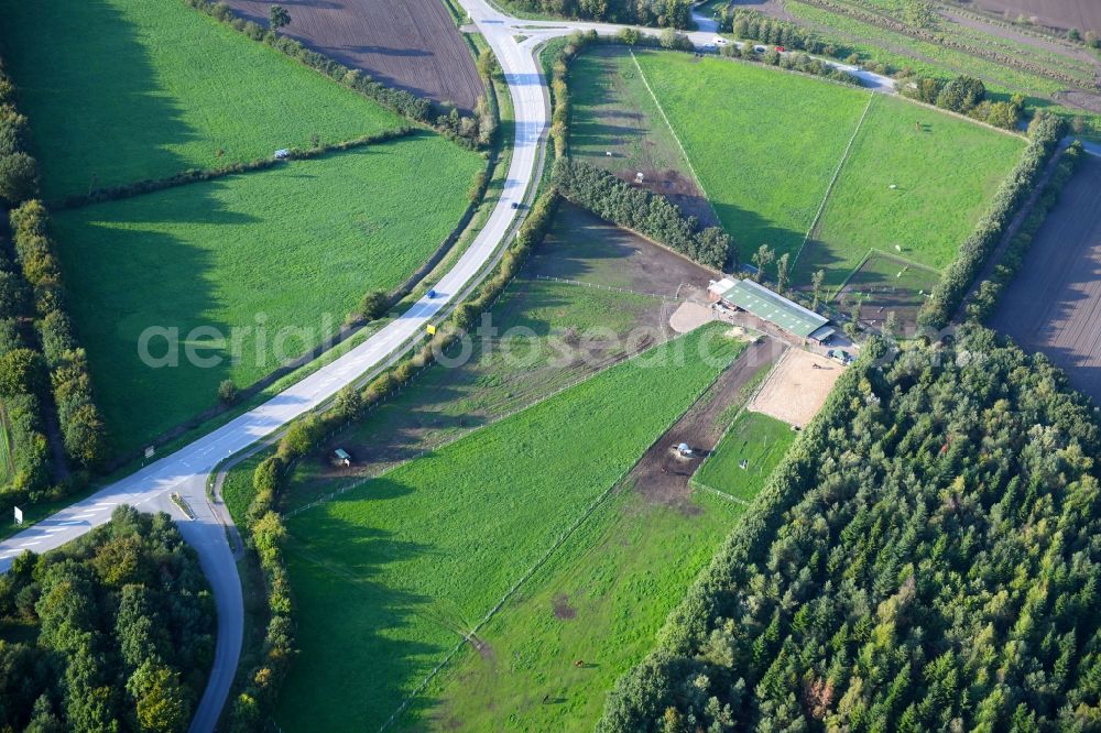 Neumünster from the bird's eye view: Street - road guidance of Landstrasse L322 in Neumuenster in the state Schleswig-Holstein, Germany