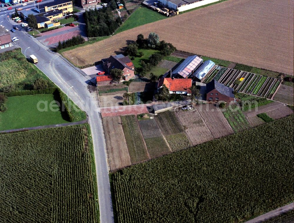 Kamp-Lintfort from above - Street - road guidance of Schanzstrasse in the district Niersenbruch in Kamp-Lintfort in the state North Rhine-Westphalia