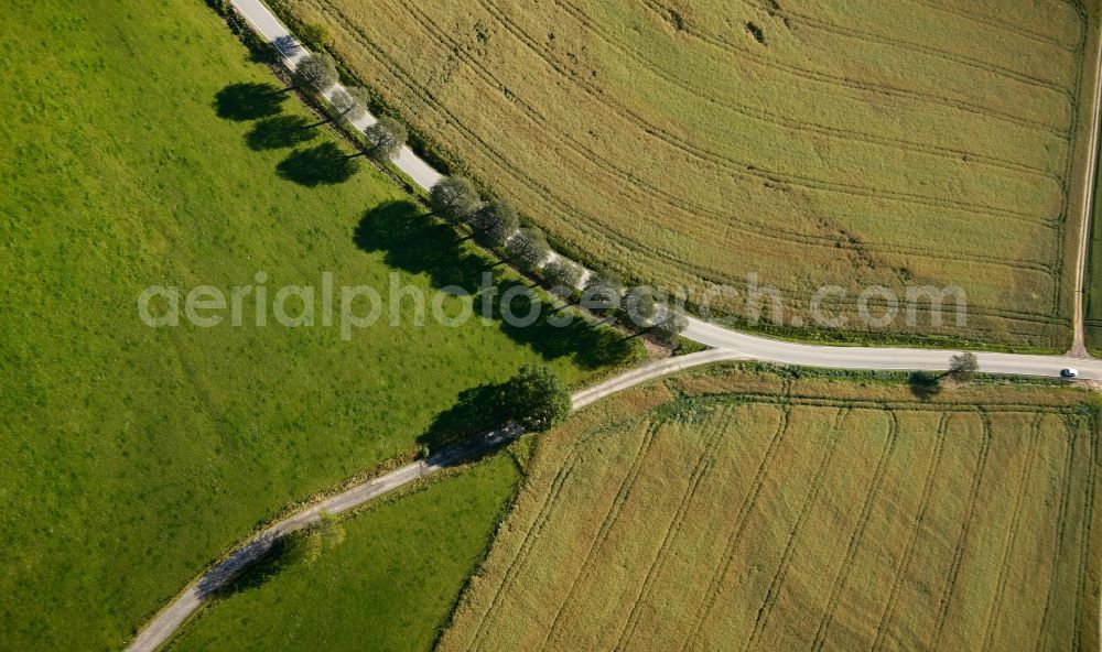 Aerial photograph Neuenrade - View of a fork junction in Neuenrade in the state North Rhine-Westphalia