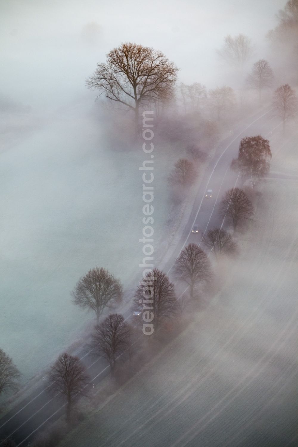 Hamm from above - Road in fog along the meadows of Lippeauen at sunrise on a country road on the outskirts of Hamm, North Rhine-Westphalia