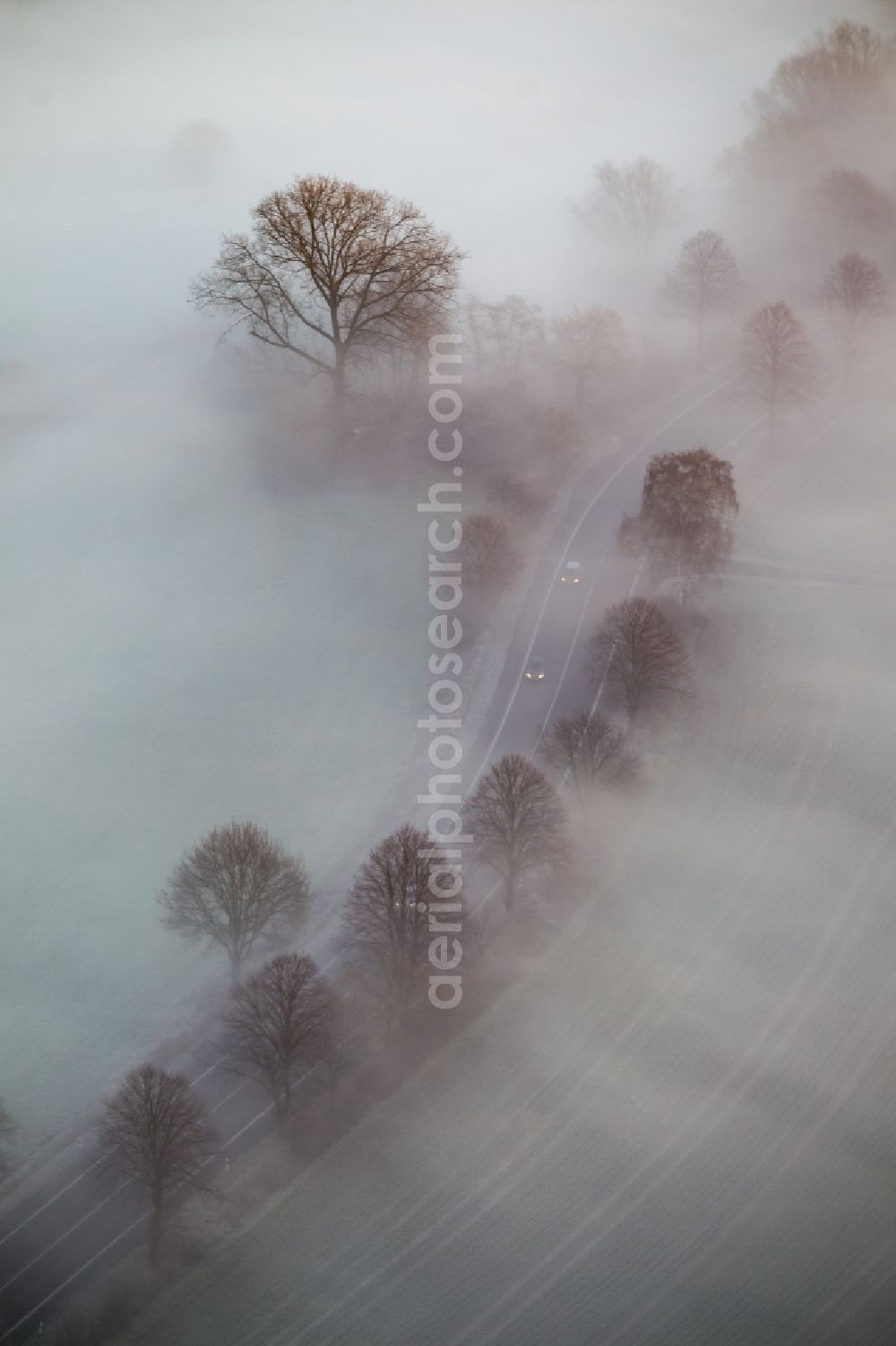 Hamm from above - Road in fog along the meadows of Lippeauen at sunrise on a country road on the outskirts of Hamm, North Rhine-Westphalia