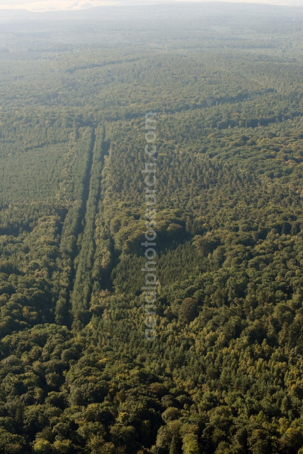 Aerial photograph Walbeck - Route course of the former inner-German border between the GDR German Democratic Republic and the Federal Republic of Germany Federal Republic of Germany in a renatured forest near Walbeck in the state Saxony-Anhalt