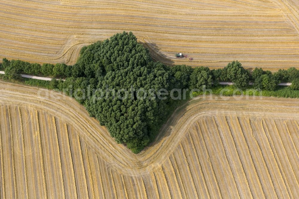 Hamm from above - Straw field at harvest time on the road in Münster Hamm in North Rhine-Westphalia