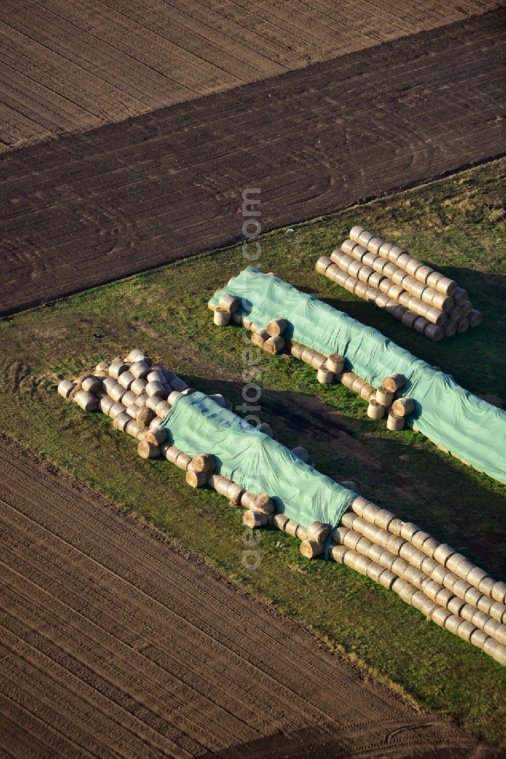 Aerial photograph Blätz - Autumn Impressions of straw bales on a harvested field in the district of the municipality Blätz Burgstall in Saxony-Anhalt