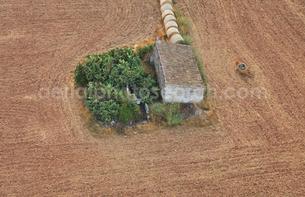 Aerial photograph Manacor - Straw bale landscape in a field on the outskirts in Manacor in Mallorca in Balearic Islands, Spain