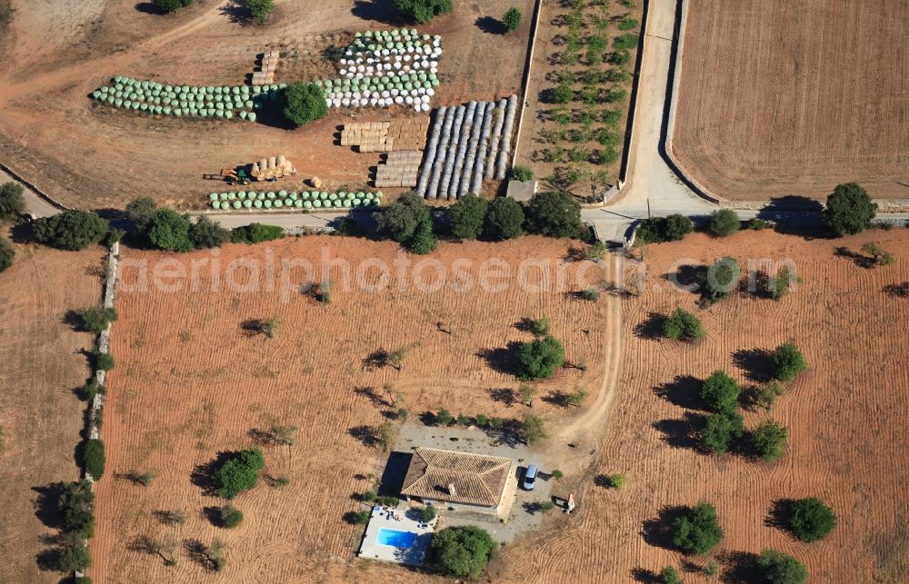 Aerial image Binissalem - Straw bale landscape in a field on the outskirts in Binissalem Mallorca in Balearic Islands, Spain