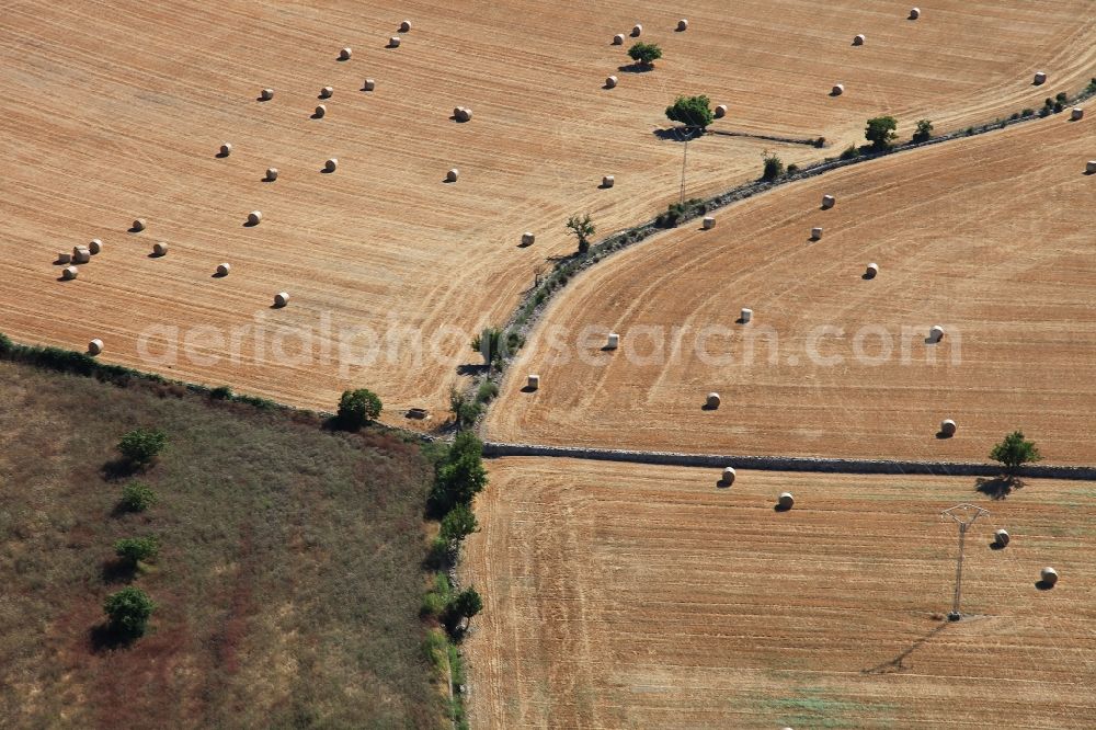 Binissalem from above - Straw bale landscape in a field on the outskirts in Binissalem MAllorca in Balearic Islands, Spain