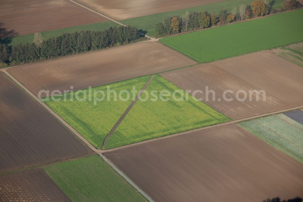 Büttelborn from above - Structure on a agricultural field in Buettelborn in the state Hesse