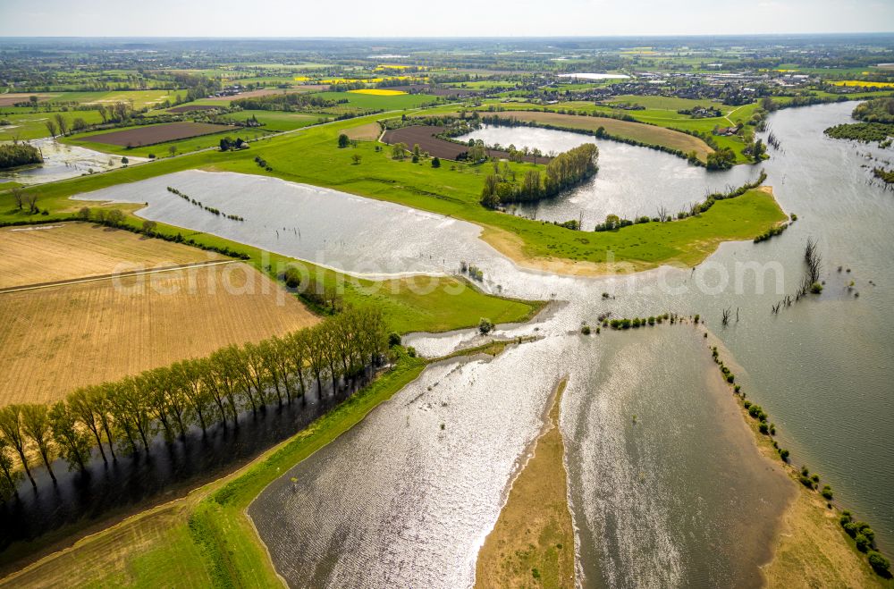 Aerial photograph Xanten - Grassland structures of a meadow and field landscape in the lowland Bisliche Insel in the district Wardt in Xanten in the state North Rhine-Westphalia, Germany