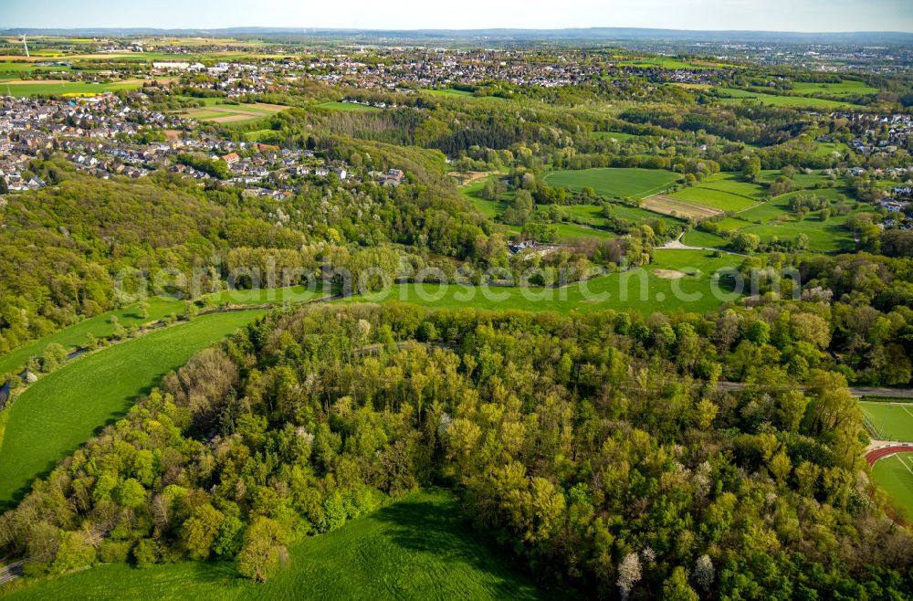 Würselen from the bird's eye view: Grassland structures of a meadow and field landscape in the floodplain lowland along the Wurm river course on the Adamsmuehle road in Wuerselen in the federal state of North Rhine-Westphalia, Germany