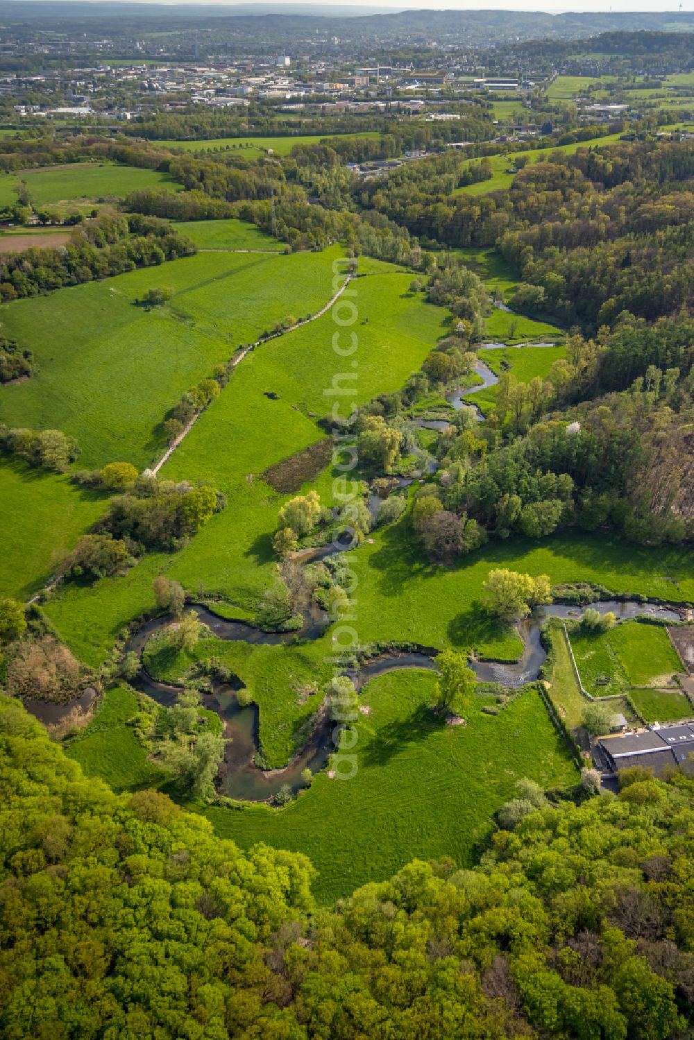 Würselen from above - Grassland structures of a meadow and field landscape in the floodplain lowland along the Wurm river course on the Adamsmuehle road in Wuerselen in the federal state of North Rhine-Westphalia, Germany