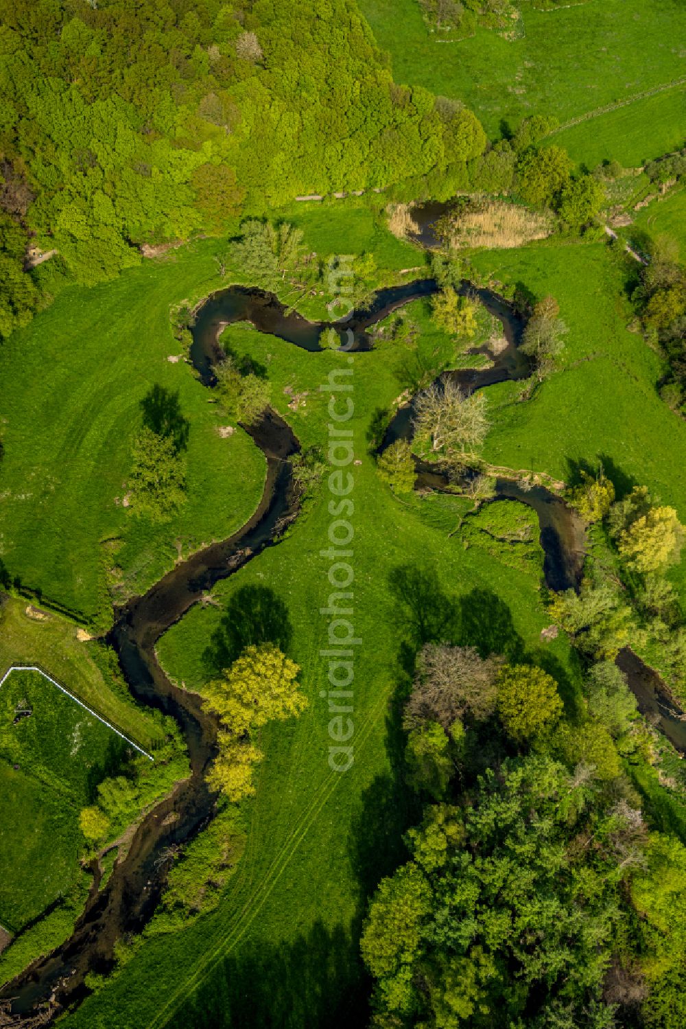 Aerial photograph Würselen - Grassland structures of a meadow and field landscape in the floodplain lowland along the Wurm river course on the Adamsmuehle road in Wuerselen in the federal state of North Rhine-Westphalia, Germany