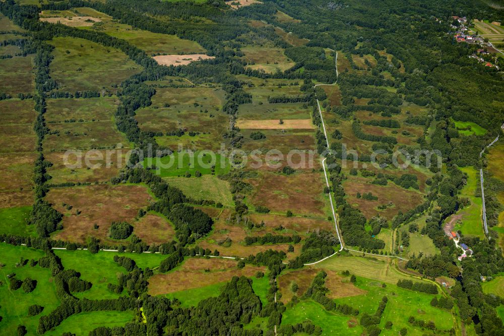 Aerial image Leipe - Grassland structures of a meadow and field landscape in the lowland in Leipe at Spreewald in the state Brandenburg, Germany