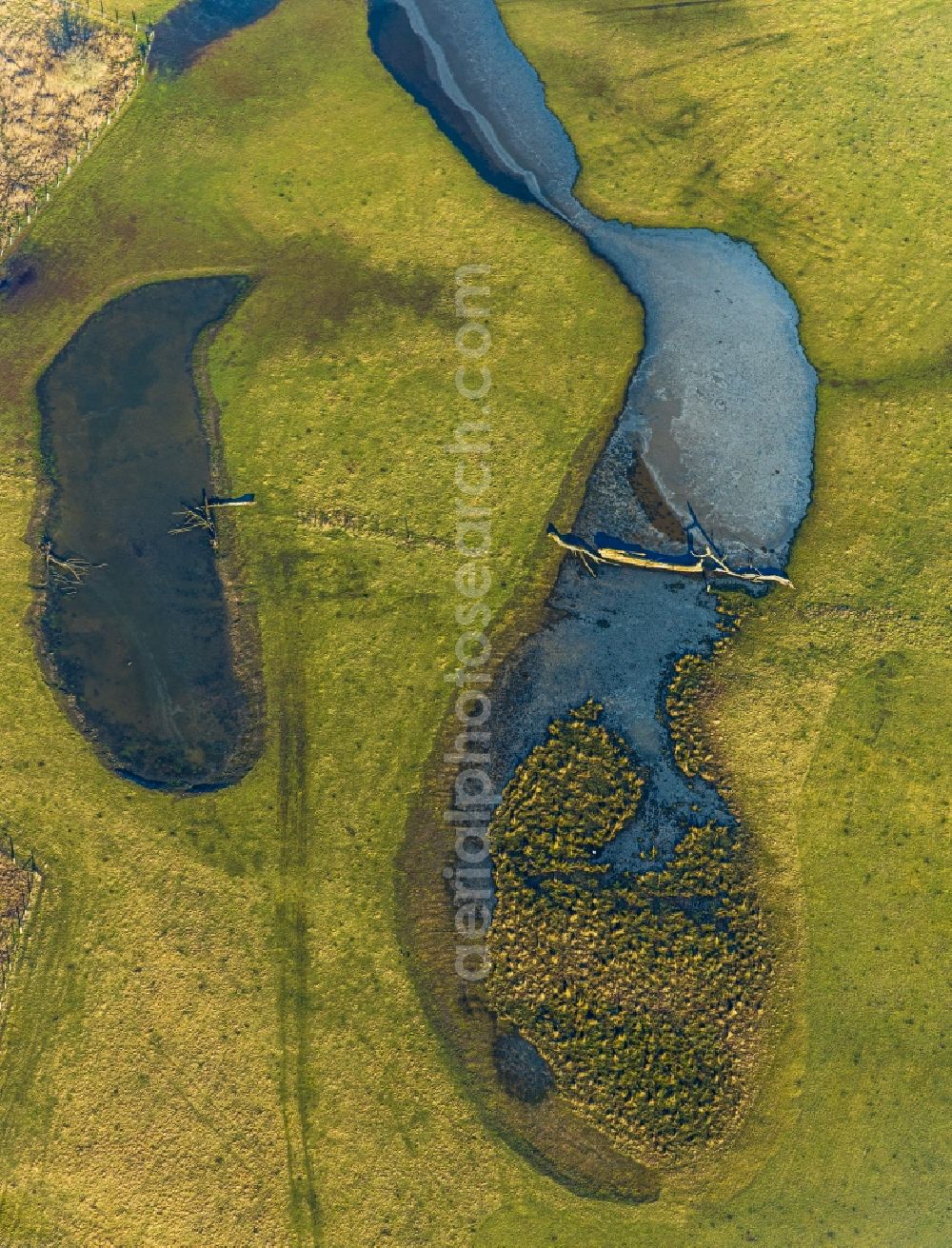 Witten from above - Grassland structures of a meadow and field landscape in the lowland of NSG Ruhrauen in Witten in the state North Rhine-Westphalia, Germany