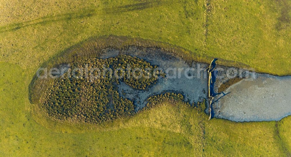 Witten from the bird's eye view: Grassland structures of a meadow and field landscape in the lowland of NSG Ruhrauen in Witten in the state North Rhine-Westphalia, Germany