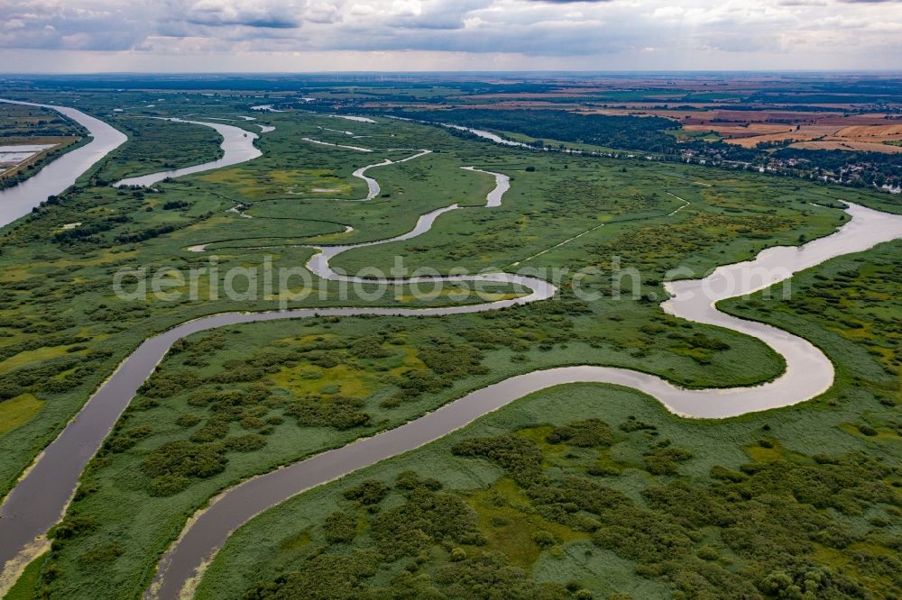 Aerial photograph Gryfino - Grassland structures of a meadow and field landscape in the lowland of Oder in Gryfino in Zachodniopomorskie, Poland