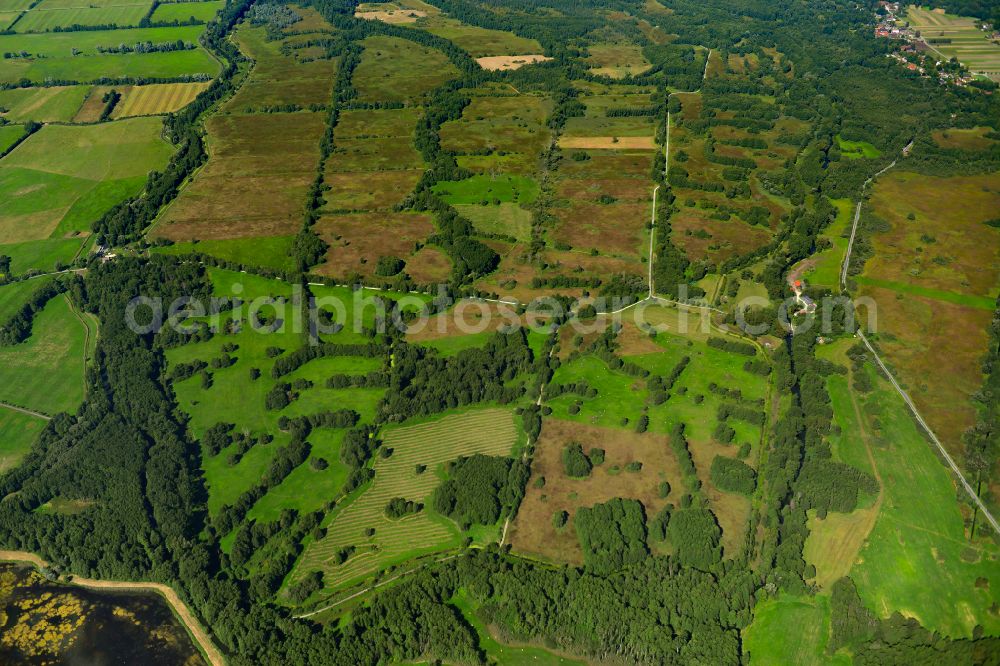 Aerial photograph Raddusch - Grassland structures of a meadow and field landscape in the lowland in Raddusch at Spreewald in the state Brandenburg, Germany