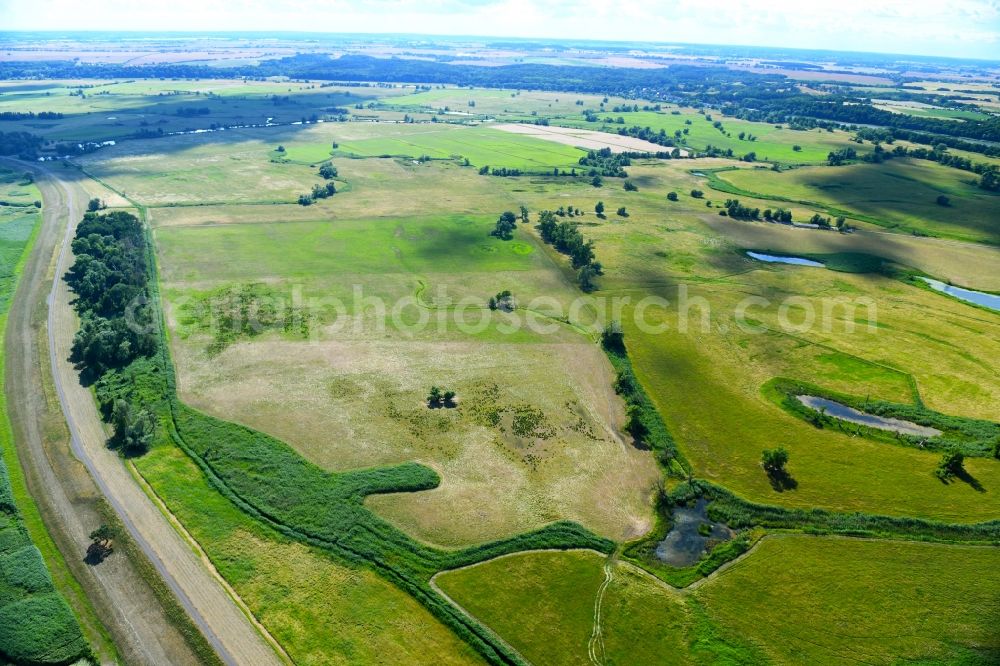 Schöneberg from the bird's eye view: Grassland structures of a meadow and field landscape in the lowland in Schoeneberg in the state Brandenburg, Germany