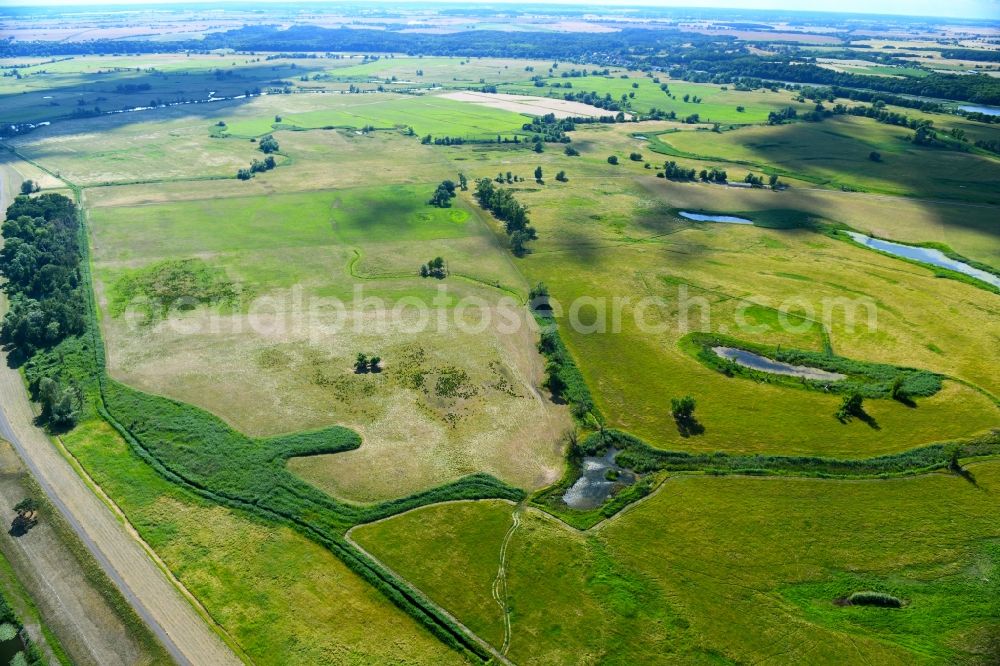 Aerial image Schöneberg - Grassland structures of a meadow and field landscape in the lowland in Schoeneberg in the state Brandenburg, Germany