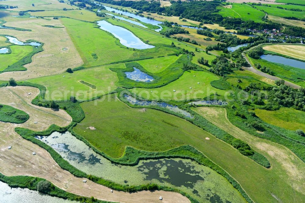 Aerial image Stützkow - Grassland structures of a meadow and field landscape in the lowland in Stuetzkow in the state Brandenburg, Germany