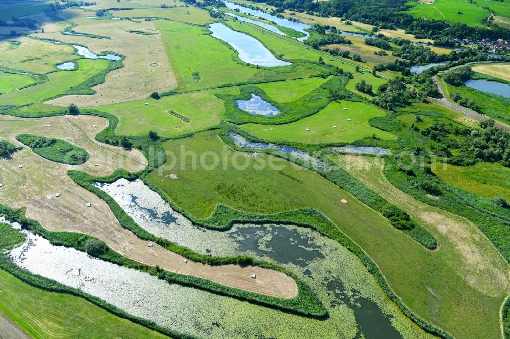 Aerial photograph Stützkow - Grassland structures of a meadow and field landscape in the lowland in Stuetzkow in the state Brandenburg, Germany