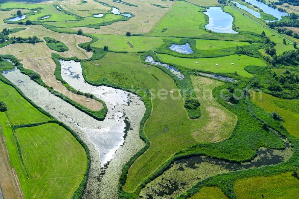 Stützkow from above - Grassland structures of a meadow and field landscape in the lowland in Stuetzkow in the state Brandenburg, Germany