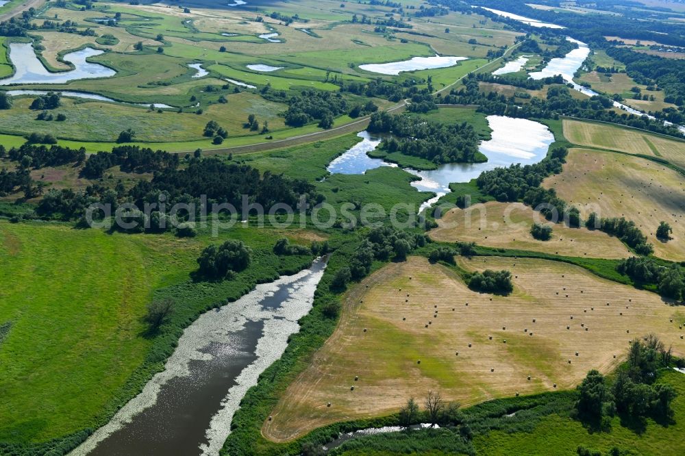 Aerial photograph Stützkow - Grassland structures of a meadow and field landscape in the lowland in Stuetzkow in the state Brandenburg, Germany