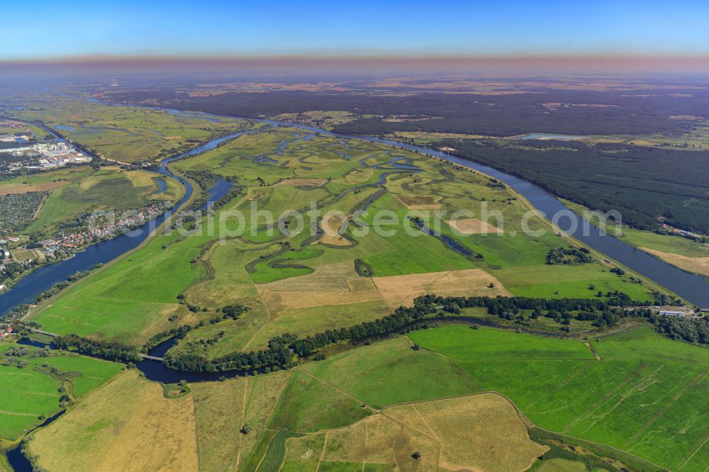 Aerial image Górki Krajnickie - Grassland structures of a meadow and field landscape in the lowland on the banks of the river Oder in Gorki Krajnickie in the state Brandenburg, Germany