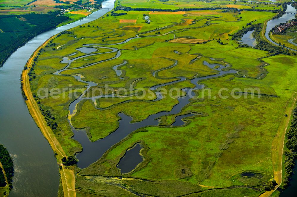 Górki Krajnickie from above - Grassland structures of a meadow and field landscape in the lowland on the banks of the river Oder in Gorki Krajnickie in the state Brandenburg, Germany