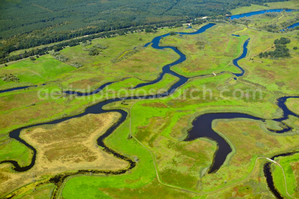 Górki Krajnickie from the bird's eye view: Grassland structures of a meadow and field landscape in the lowland on the banks of the river Oder in Gorki Krajnickie in the state Brandenburg, Germany