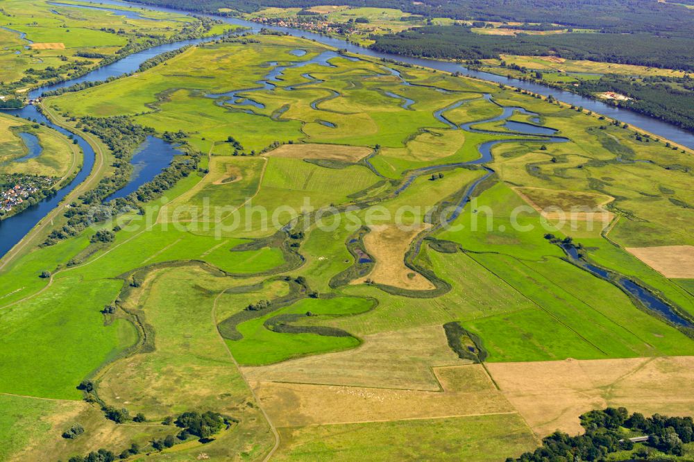 Schwedt/Oder from the bird's eye view: Grassland structures of a meadow and field landscape in the lowland on the banks of the river Oder in Schwedt/Oder in the Uckermark in the state Brandenburg, Germany