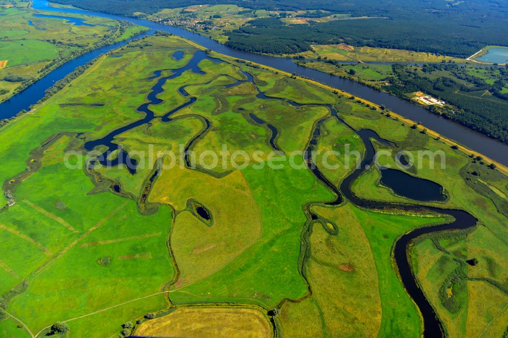 Aerial photograph Schwedt/Oder - Grassland structures of a meadow and field landscape in the lowland on the banks of the river Oder in Schwedt/Oder in the Uckermark in the state Brandenburg, Germany