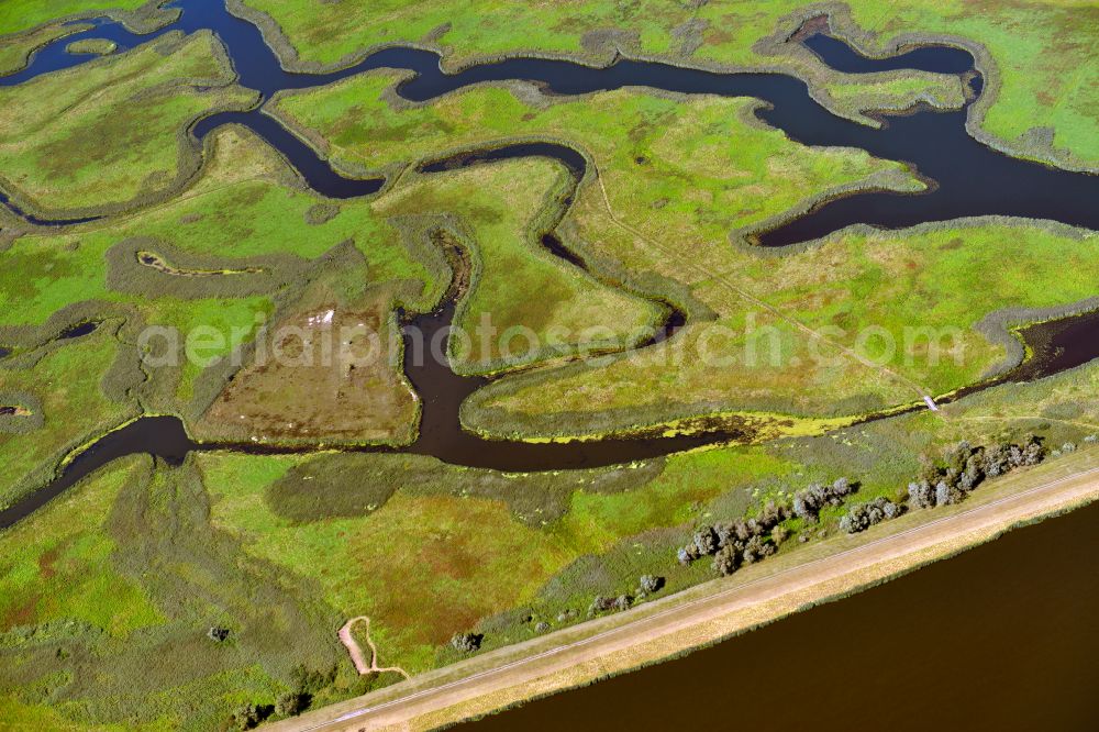 Aerial image Schwedt/Oder - Grassland structures of a meadow and field landscape in the lowland on the banks of the river Oder in Schwedt/Oder in the Uckermark in the state Brandenburg, Germany