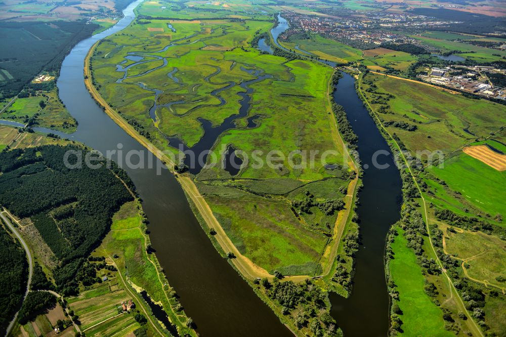 Aerial photograph Schwedt/Oder - Grassland structures of a meadow and field landscape in the lowland on the banks of the river Oder in Schwedt/Oder in the Uckermark in the state Brandenburg, Germany