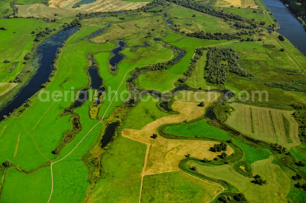 Zützen from above - Grassland structures of a meadow and field landscape in the lowland on the banks of the river Oder in Zützen in the state Brandenburg, Germany