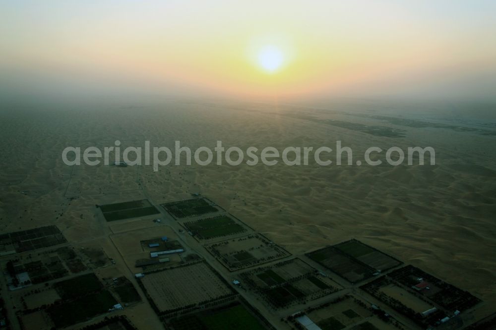 Aerial image Dubai - Structures on fields of a palm plantation in Dubai, United Arab Emirates