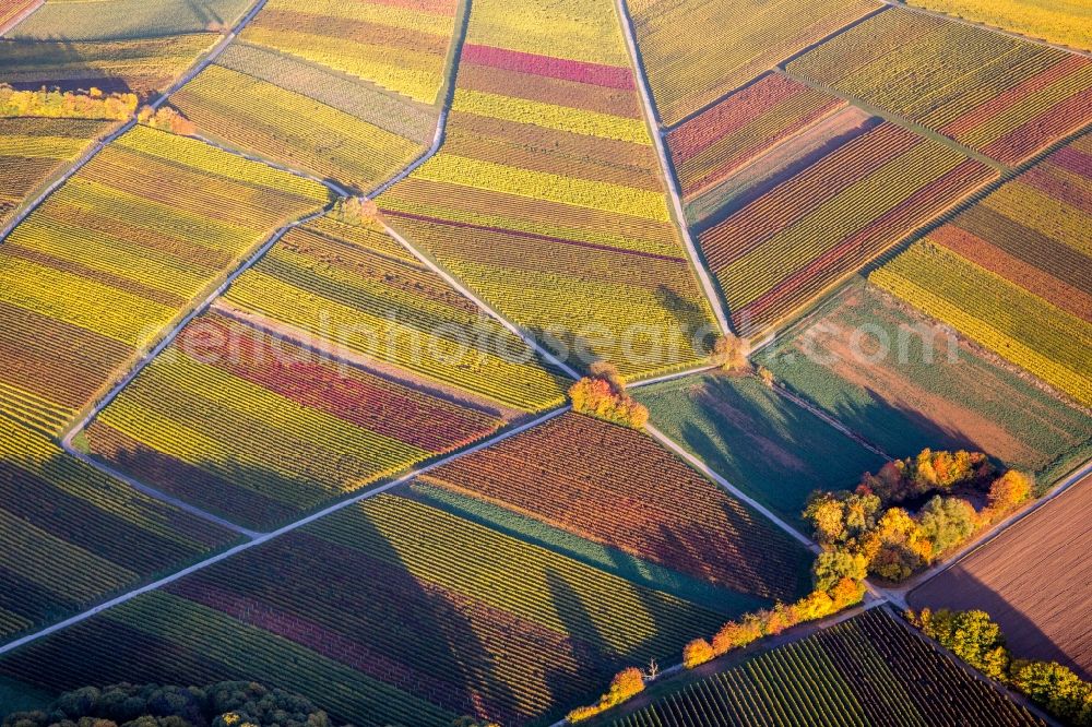 Aerial photograph Heuchelheim-Klingen - Fields of wine cultivation landscape in indian summer colours in Heuchelheim-Klingen in the state Rhineland-Palatinate, Germany