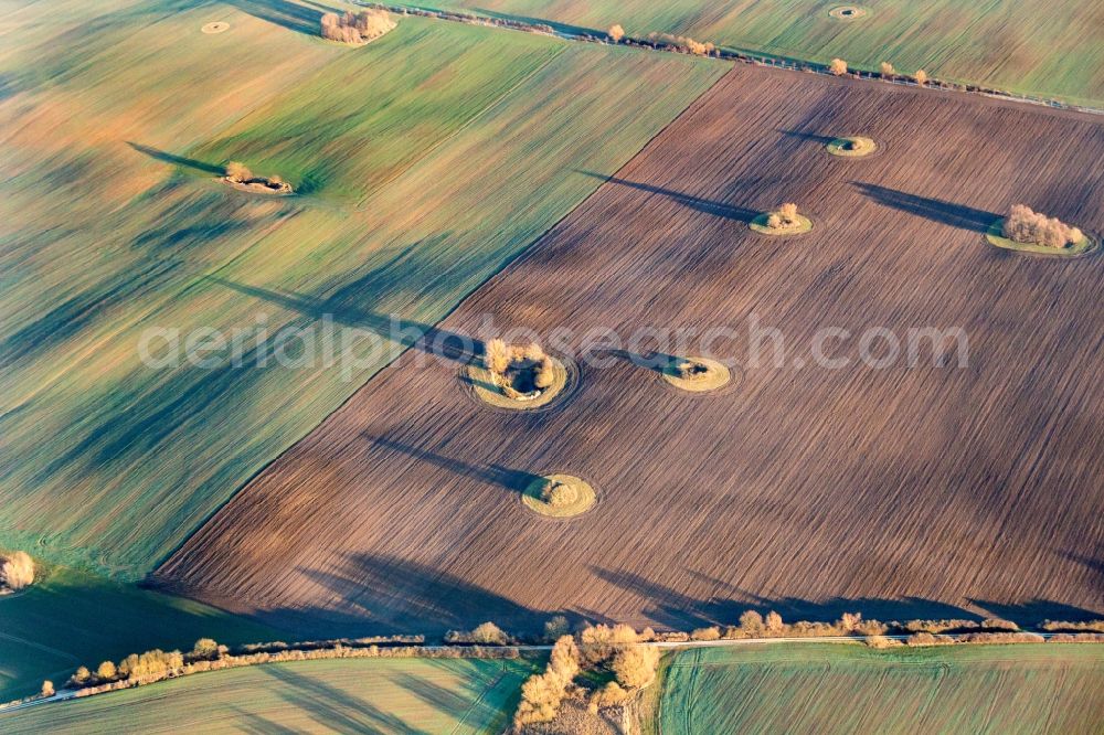 Aerial photograph Petersdorf - Structures on agricultural fields in evening light in Petersdorf in the state Mecklenburg - Western Pomerania, Germany