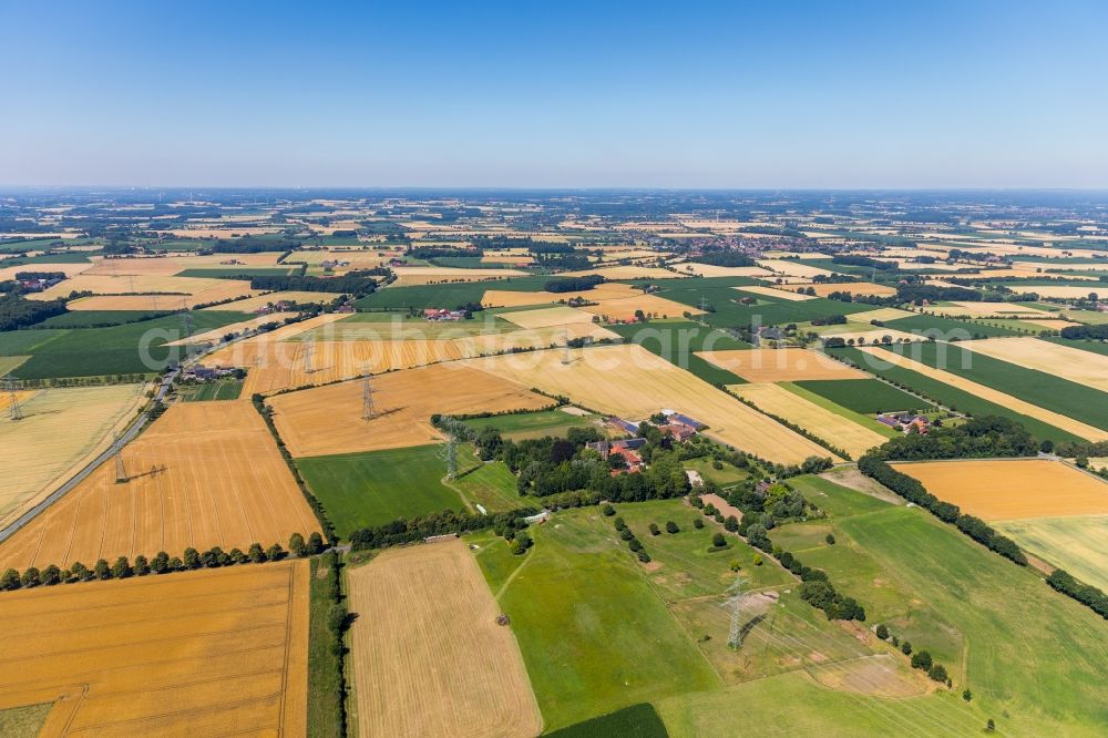 Ahlen from above - Structures on agricultural fields in Ahlen in the state North Rhine-Westphalia, Germany