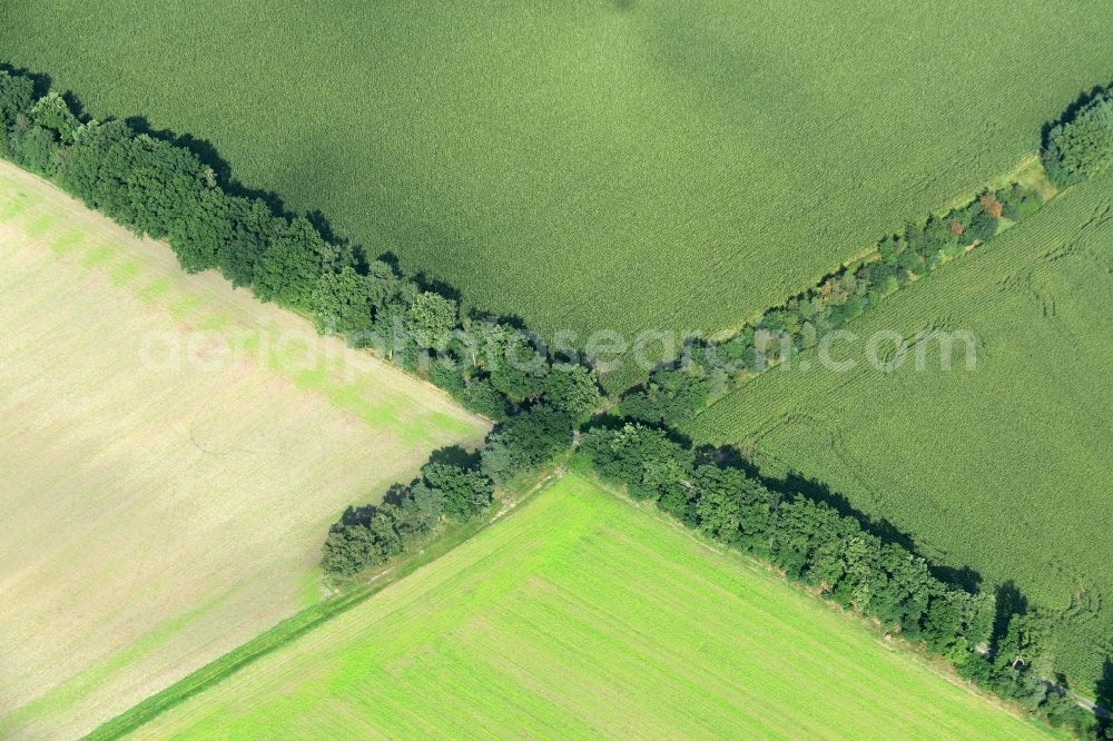 Alfhausen from the bird's eye view: Structures on agricultural fields in Alfhausen in the state Lower Saxony